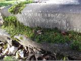 image of grave number 171482